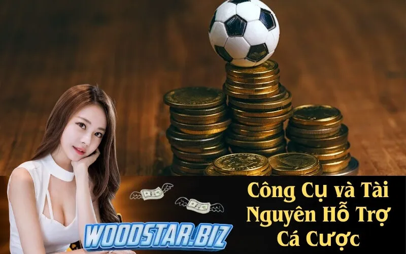 Công Cụ và Tài Nguyên Hỗ Trợ Cá Cược