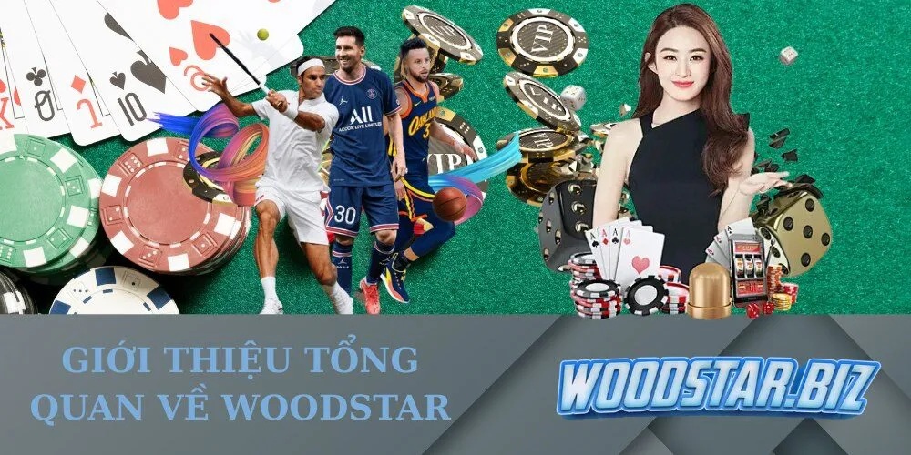 Giới Thiệu Tổng Quan Về woodstar