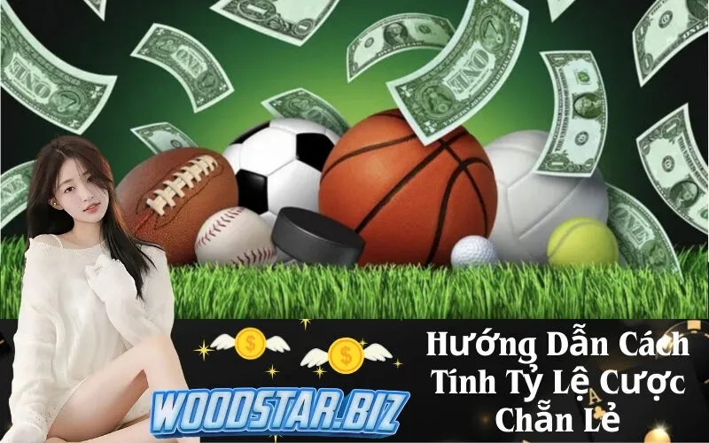Hướng Dẫn Cách Tính Tỷ Lệ Cược Chẵn Lẻ