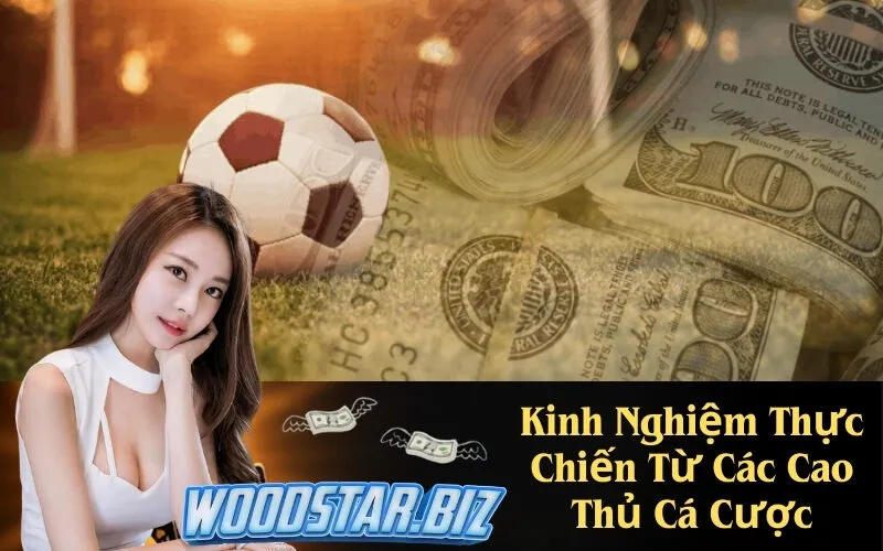 Kinh Nghiệm Thực Chiến Từ Các Cao Thủ Cá Cược