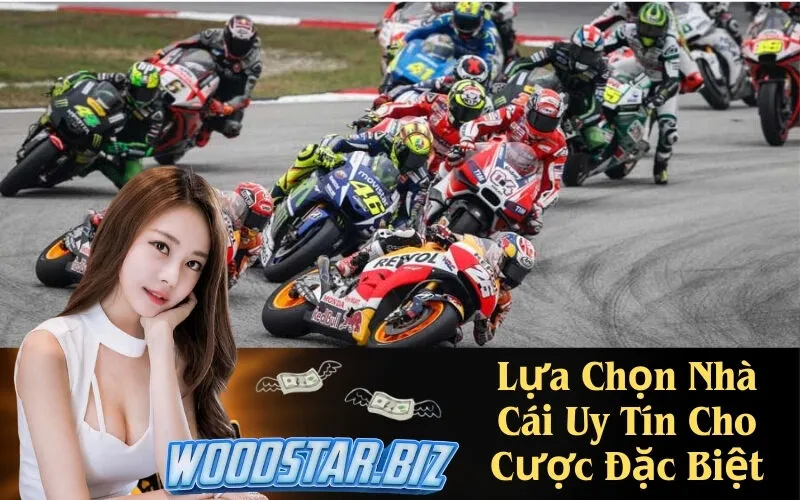 Lựa Chọn Nhà Cái Uy Tín Cho Cược Đặc Biệt