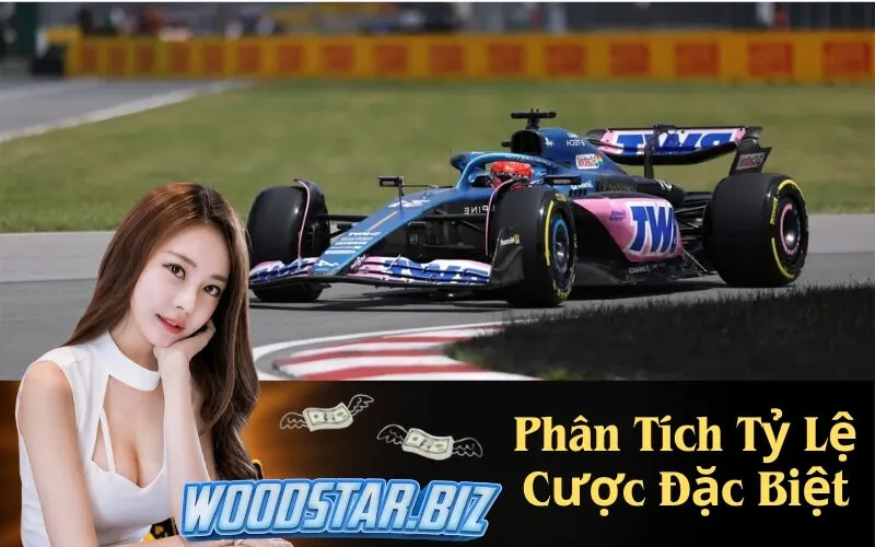 Phân Tích Tỷ Lệ Cược Đặc Biệt