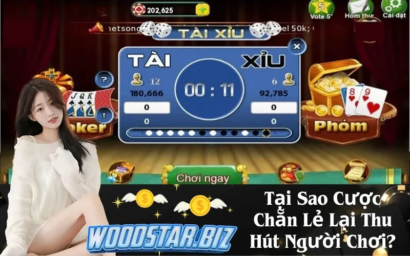 Tại Sao Cược Chẵn Lẻ Lại Thu Hút Người Chơi