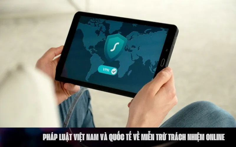 4. Pháp luật Việt Nam và Quốc tế về Miễn trừ Trách nhiệm Online